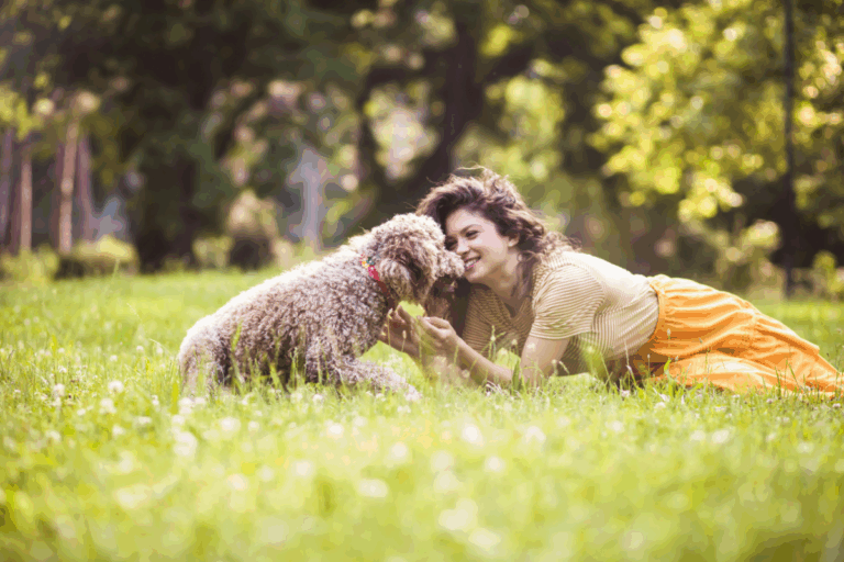 événement chien humain Hyères