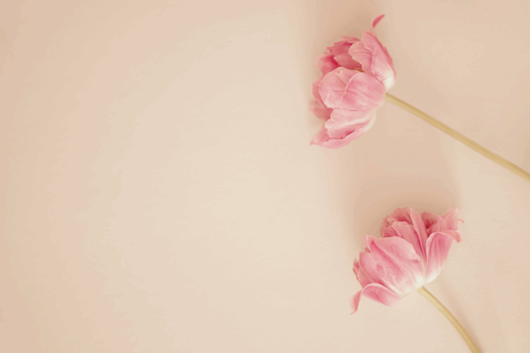 carte cadeau massage Hyères
